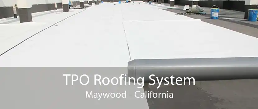 TPO Roofing System Maywood - California