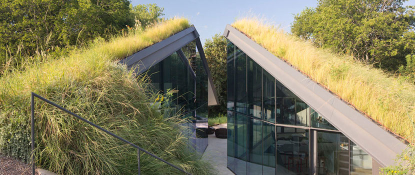 Residential Green Roof Maywood